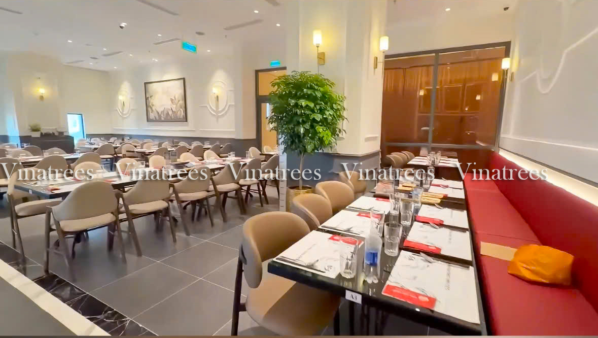 Vinatrees khảo sát hiện trạng trước khi thi công cây xanh cho Nhà hàng Cửu Vân Long